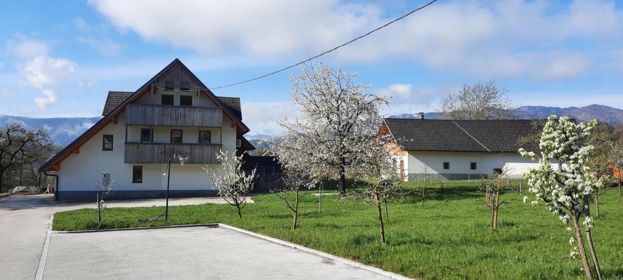 Grandma'S House Apartman Bled Kültér fotó